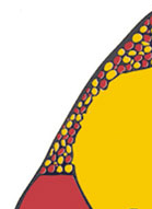 Wirringa Baiya Aboriginal Women's Legal Centre