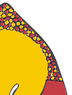 Wirringa Baiya Aboriginal Women's Legal Centre